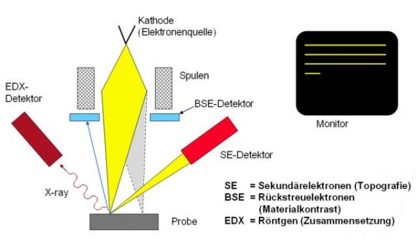 Funktionsprinzip REM-EDX (Rasterelektronenmikroskop - Energiedispersive Röntgenanalyse)