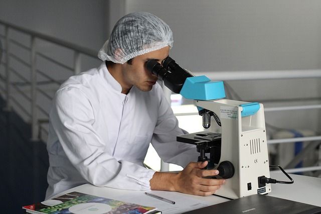 Einsatzgebiete für das Stereomikroskop