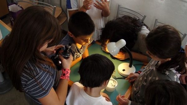 Mikroskop für Kinder und Schüler