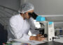 Mikroskope in der Wissenschaft und Forschung