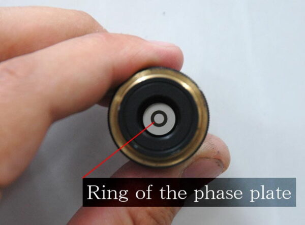 Phasenkontrastmikroskop: Ring der Phasenplatte im Objektiv sichtbar Objektiv eines Phasenkontrastmikroskops mit sichtbarem Ring der Phasenplatte