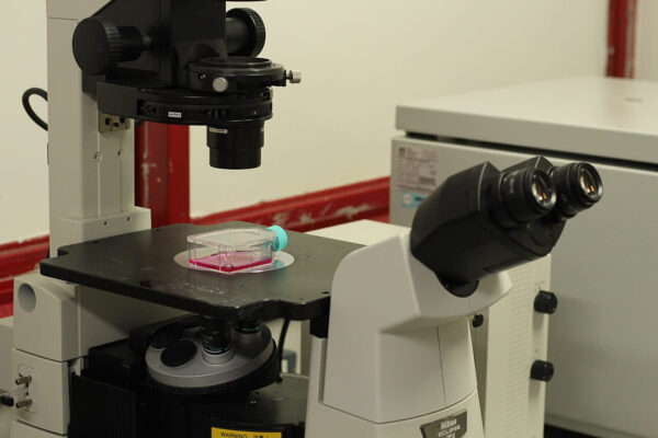 Typische Einsatzgebiete für inverse Mikroskope in Laboren Inverse Mikroskope in Forschung, Biologie und Medizin im Einsatz