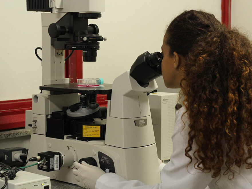 Inverse Mikroskope im Einsatz im Labor mit Zellkulturen