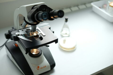 Stereomikroskope im Labor – Aufbau und Funktionsweise im Einsatz
