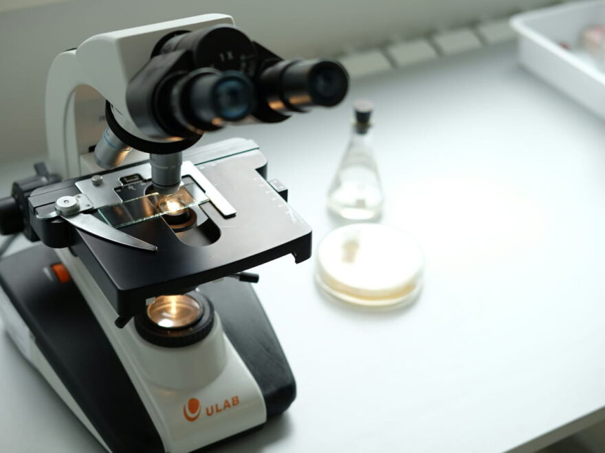 Stereomikroskope im Labor – Aufbau und Funktionsweise im Einsatz