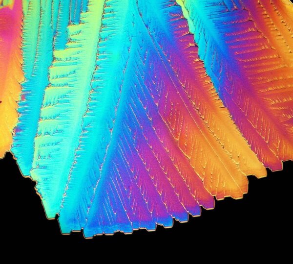 Polarisationsmikroskopie zeigt farbige Interferenzmuster von Zitronensäure-Kristallen bei 200-facher Vergrößerung