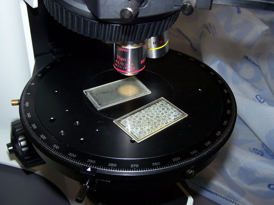 Polarisationsmikroskopie mit Präparaten auf dem Objekttisch eines Mikroskops