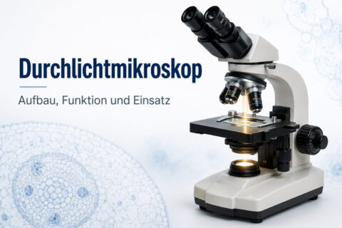 Durchlichtmikroskop mit beleuchtetem Präparat auf dem Objekttisch
