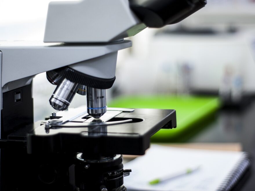Mikroskop-Arten im Labor – Beispiel eines Lichtmikroskops
