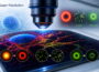 Super-Resolution mit STED, STORM und MINFLUX am Fluoreszenzmikroskop